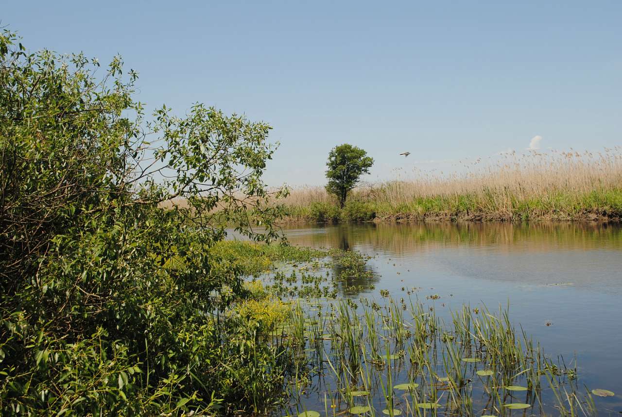 По Сулі - Матвеевка