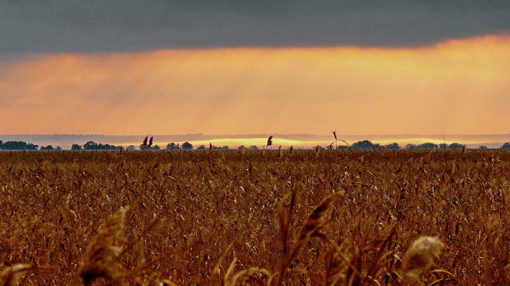 Удобне з panoramio.com - Удобное