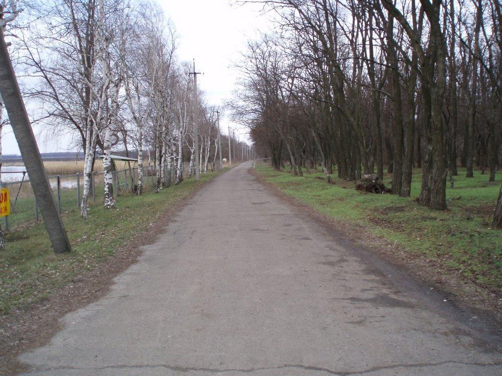 Новохортиця з panoramio.com - Новохортица