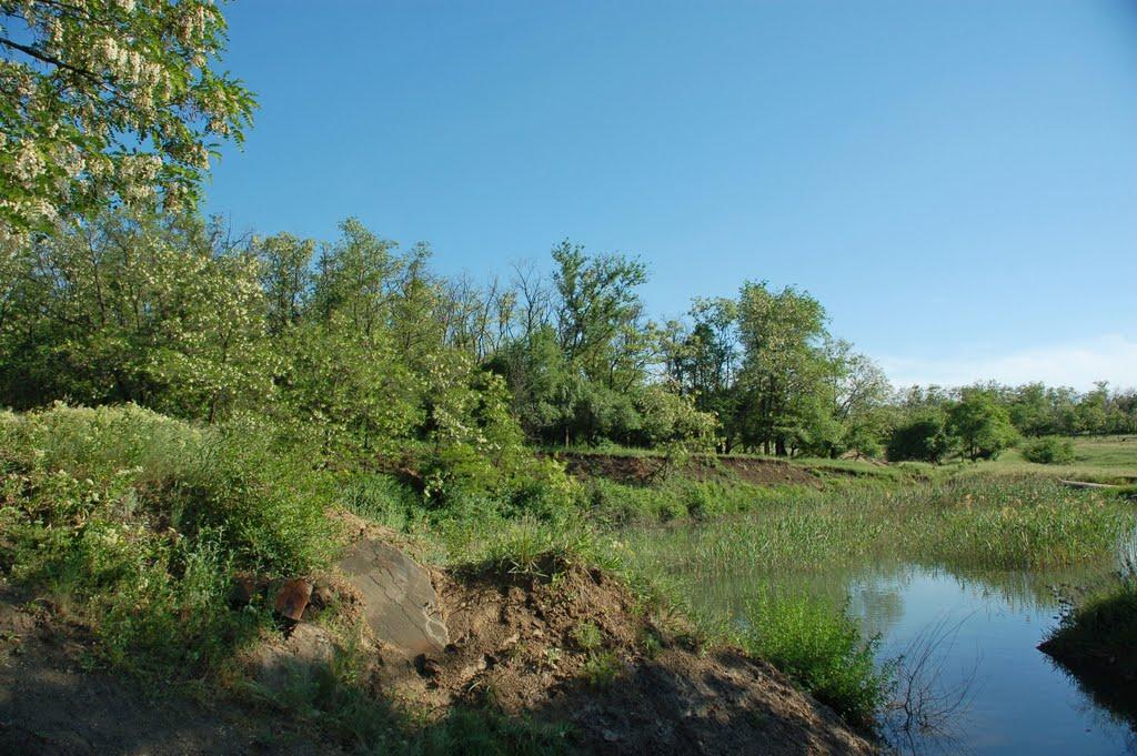 Хрустальний з panoramio.com - Хрустальный