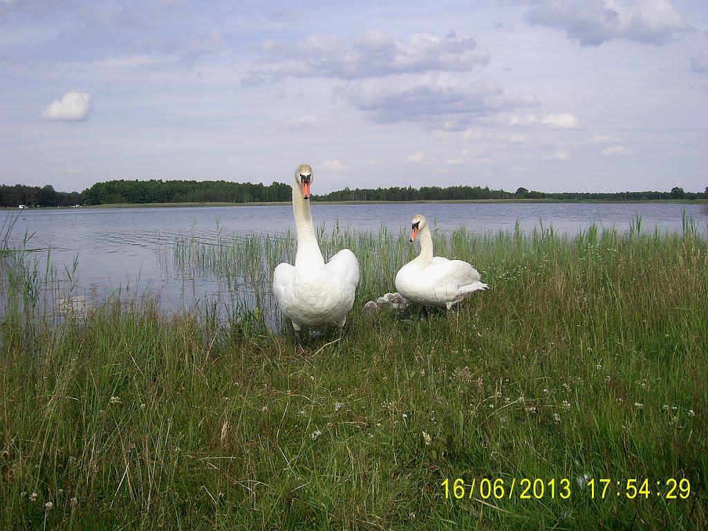 Гірники з panoramio.com - Гірники