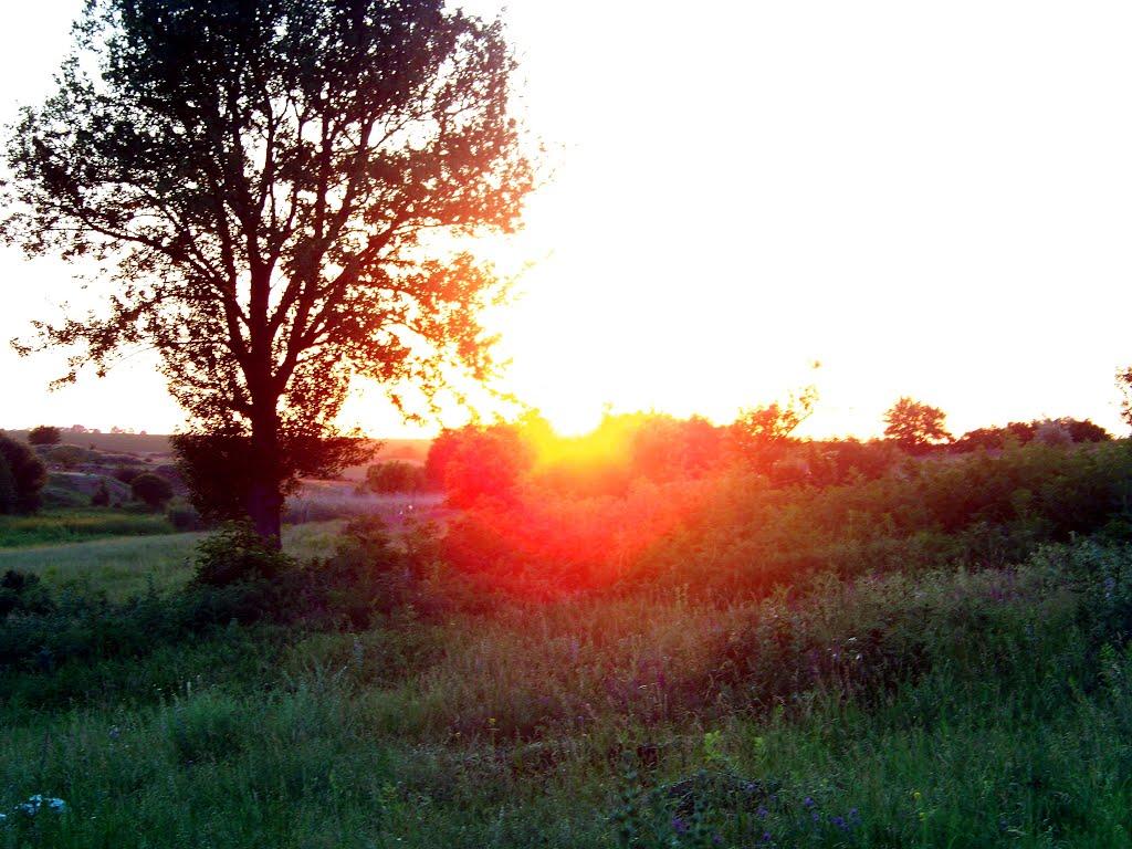 Гурівка з panoramio.com - Гуровка