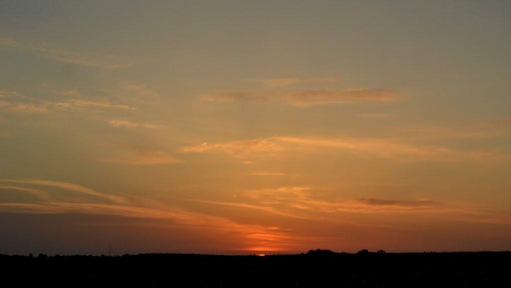 Вищі Вільшани з panoramio.com - Высшие Вильшаны