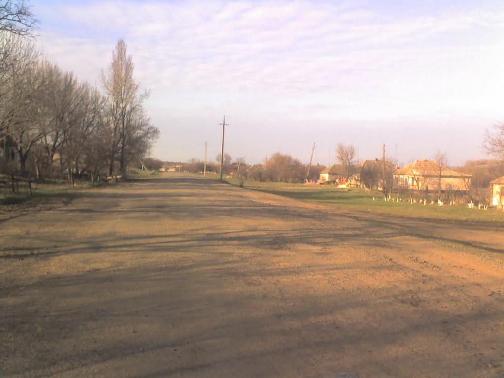 Велика Чернігівка з panoramio.com - Велика Чернігівка