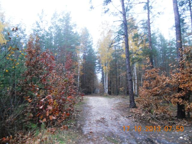 Бондарня з panoramio.com - Бондарня