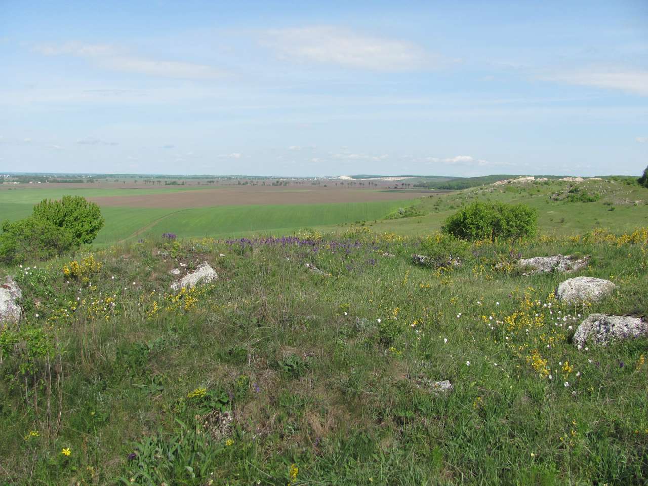 природа - Городница