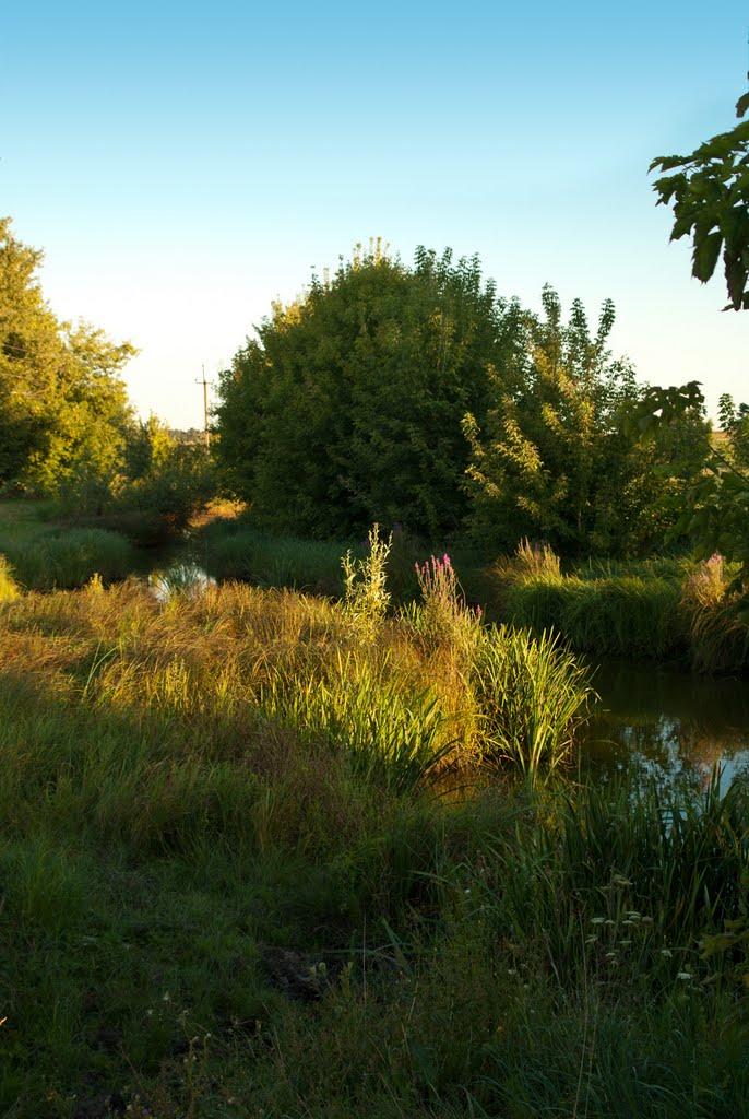 Остапівка з panoramio.com - Остапівка