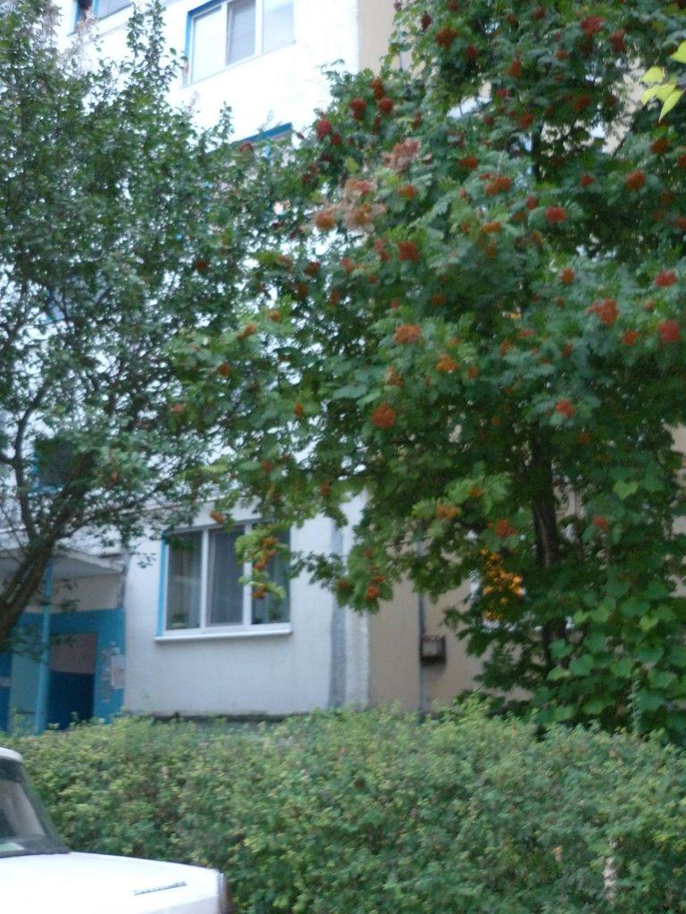 Дослідницьке з panoramio.com - Дослідницьке