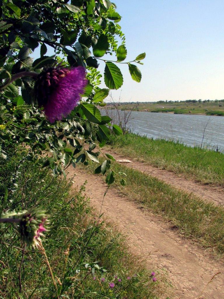Переможне з panoramio.com - Переможное