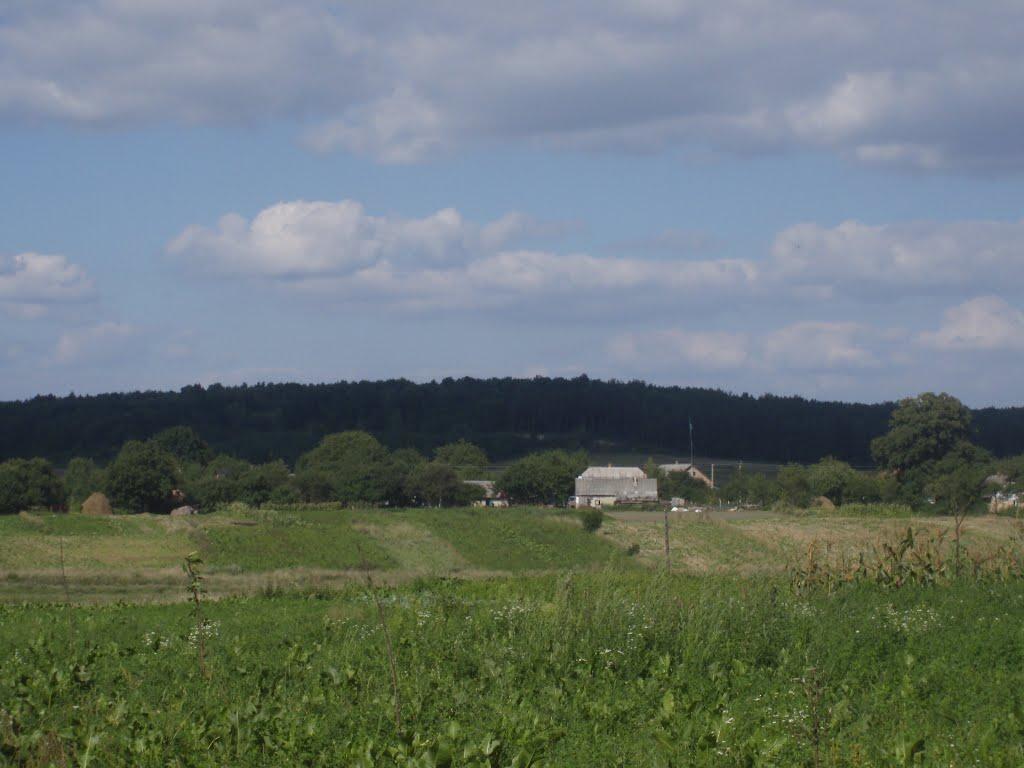 Спасів з panoramio.com - Спасів