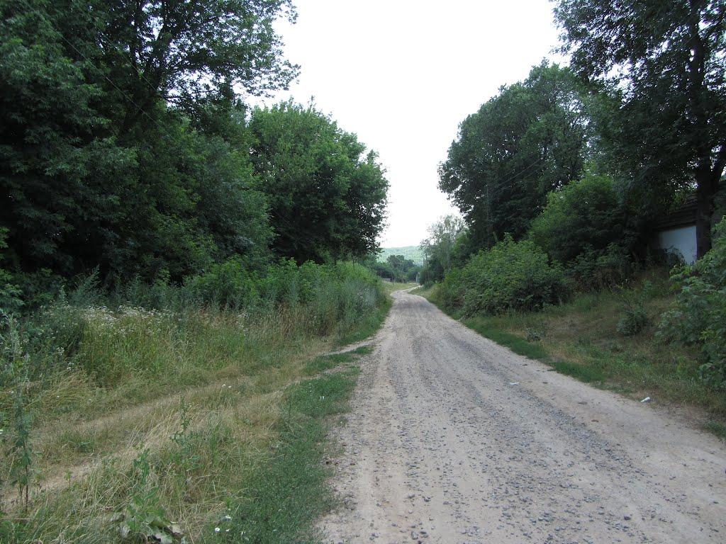 Попівка з panoramio.com - Попівка