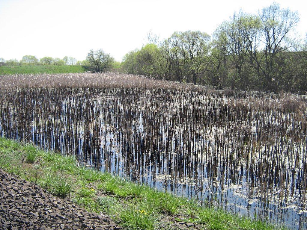 Судилків з panoramio.com - Судилків