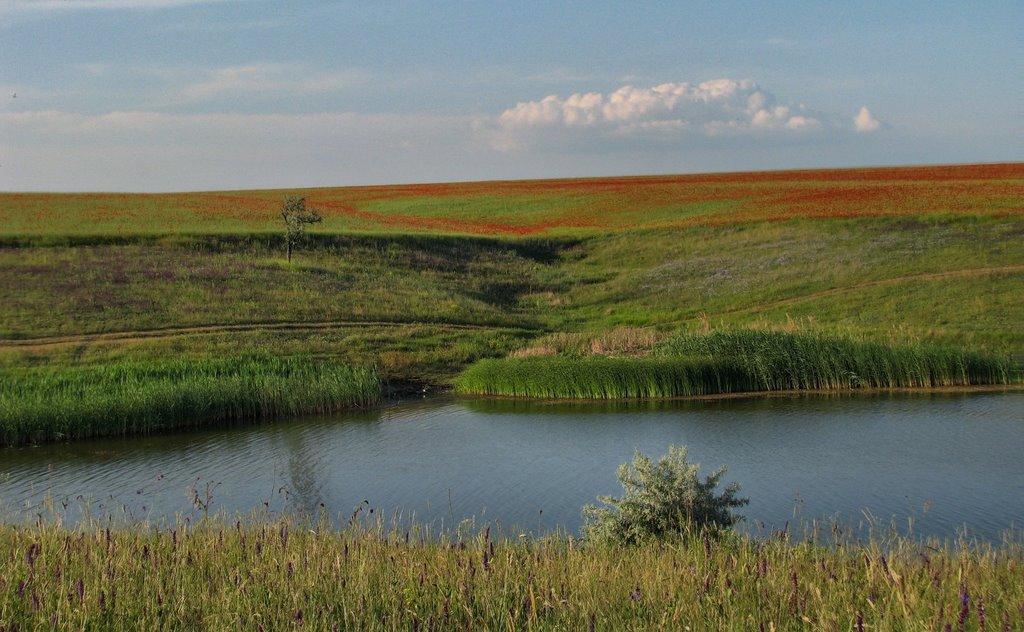 Переможне з panoramio.com - Переможное