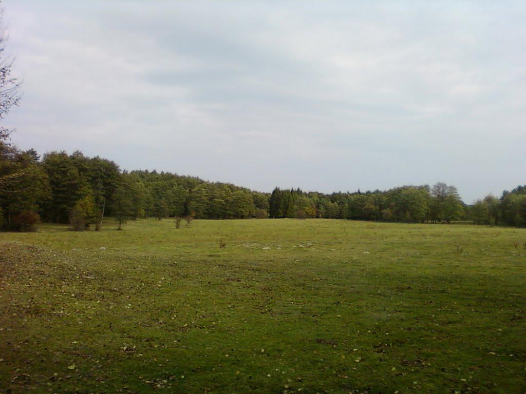 Павлівка з panoramio.com - Павлівка