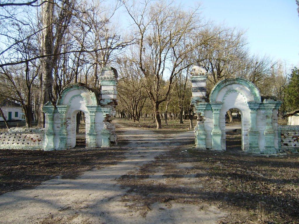 Цвітуще з panoramio.com - Цвітуще