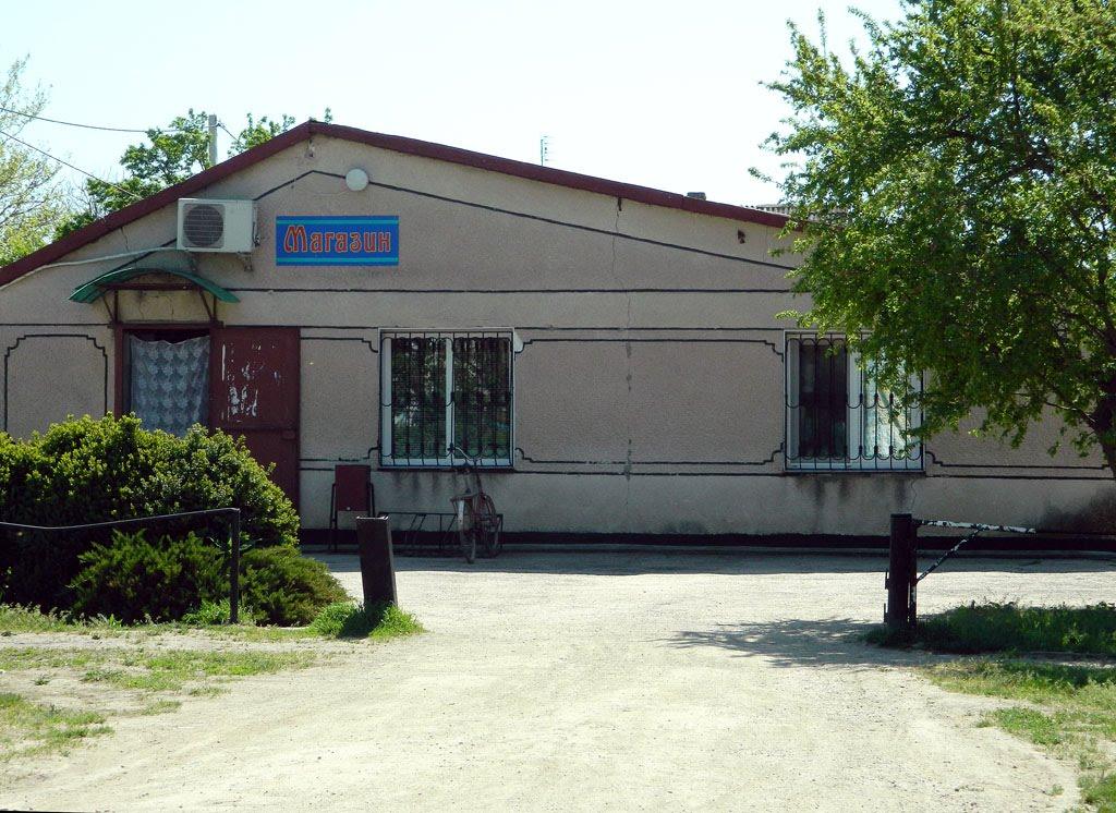 Ленінське з panoramio.com - Ленинское