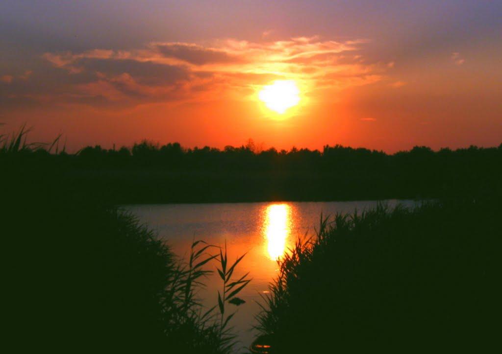 Святилівка з panoramio.com - Svyatylivka