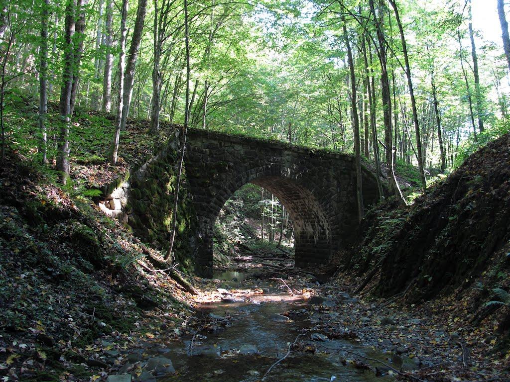 Тур'я Поляна з panoramio.com - Турья Поляна