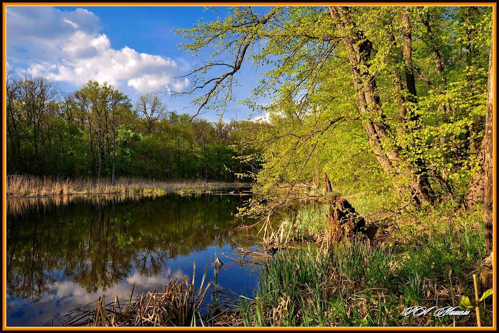Дронівка з panoramio.com - Дронівка