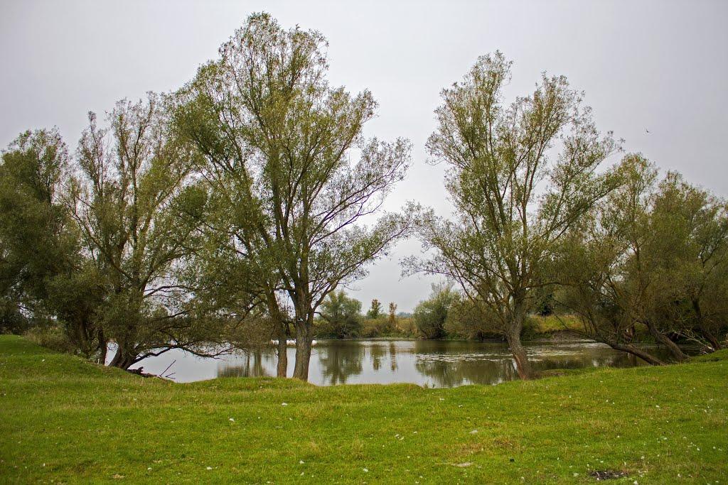 Щекинське з panoramio.com - Щекинское