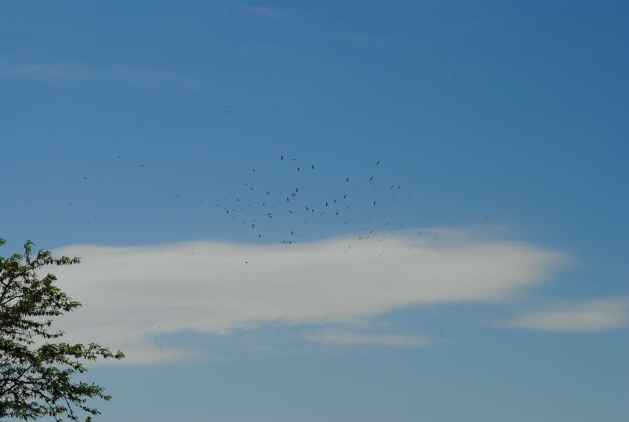 По Сулі - Матвеевка