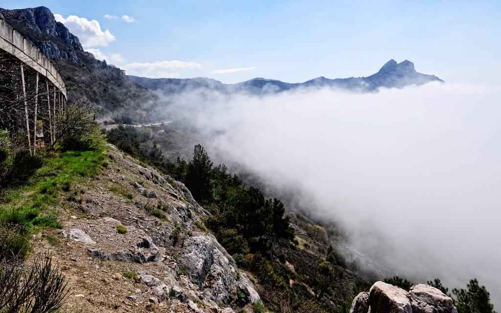 Тилове з panoramio.com - Tylove