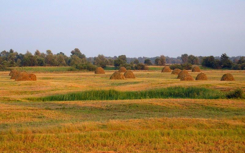 Слабин з panoramio.com - Slabyn