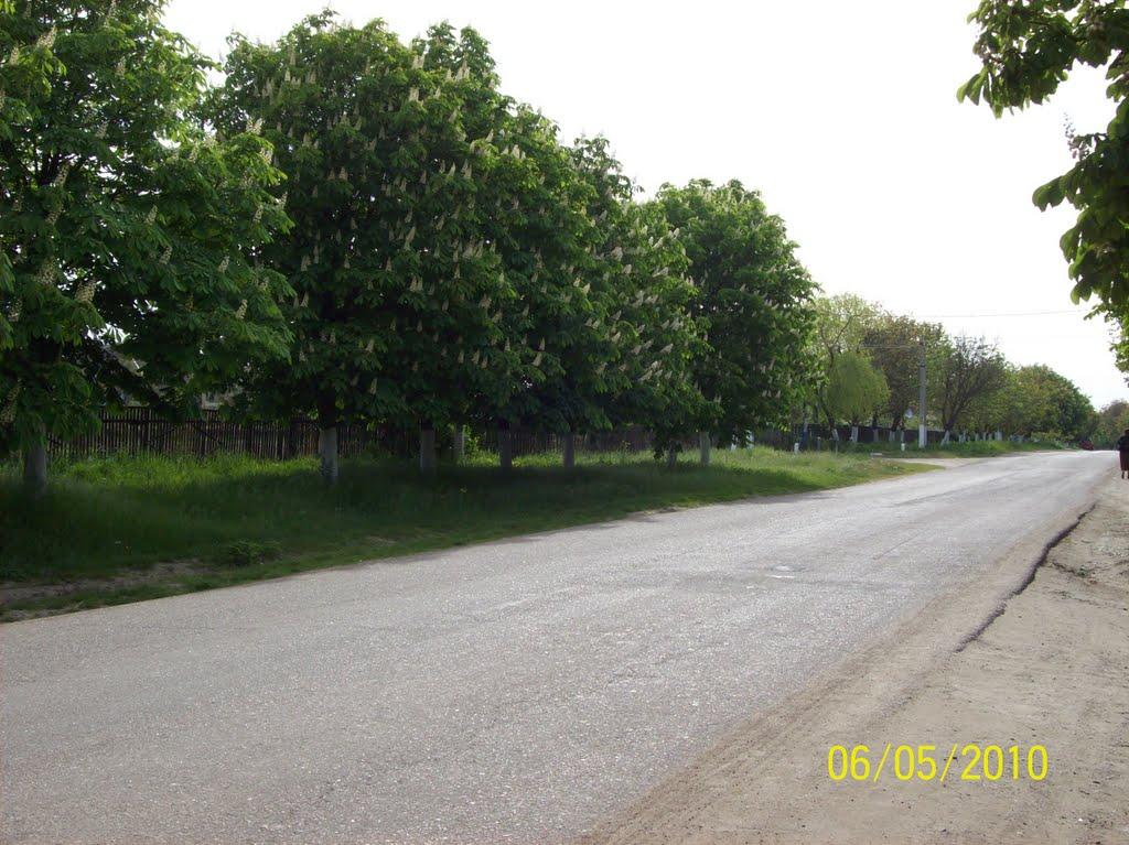 Удобне з panoramio.com - Удобне