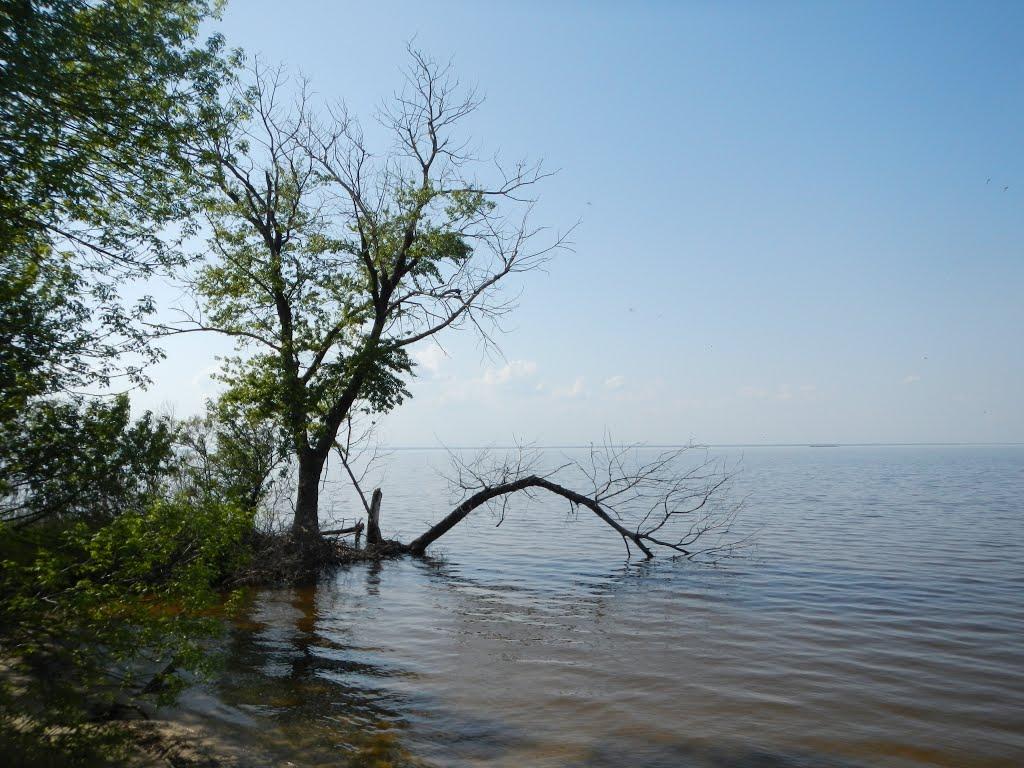 Малокатеринівка з panoramio.com - Malokaterynivka