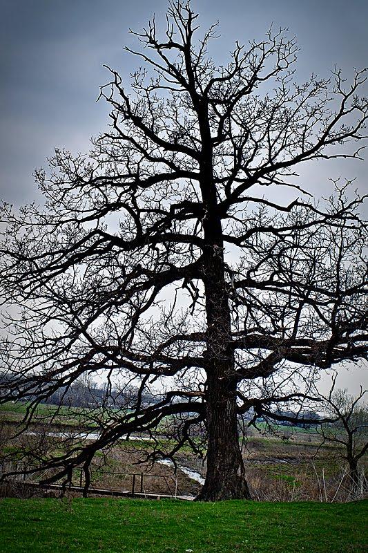 Новогришине з panoramio.com - Новогришине