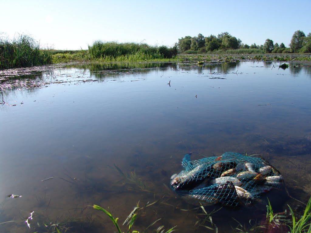 Кийлів з panoramio.com - Кийлів