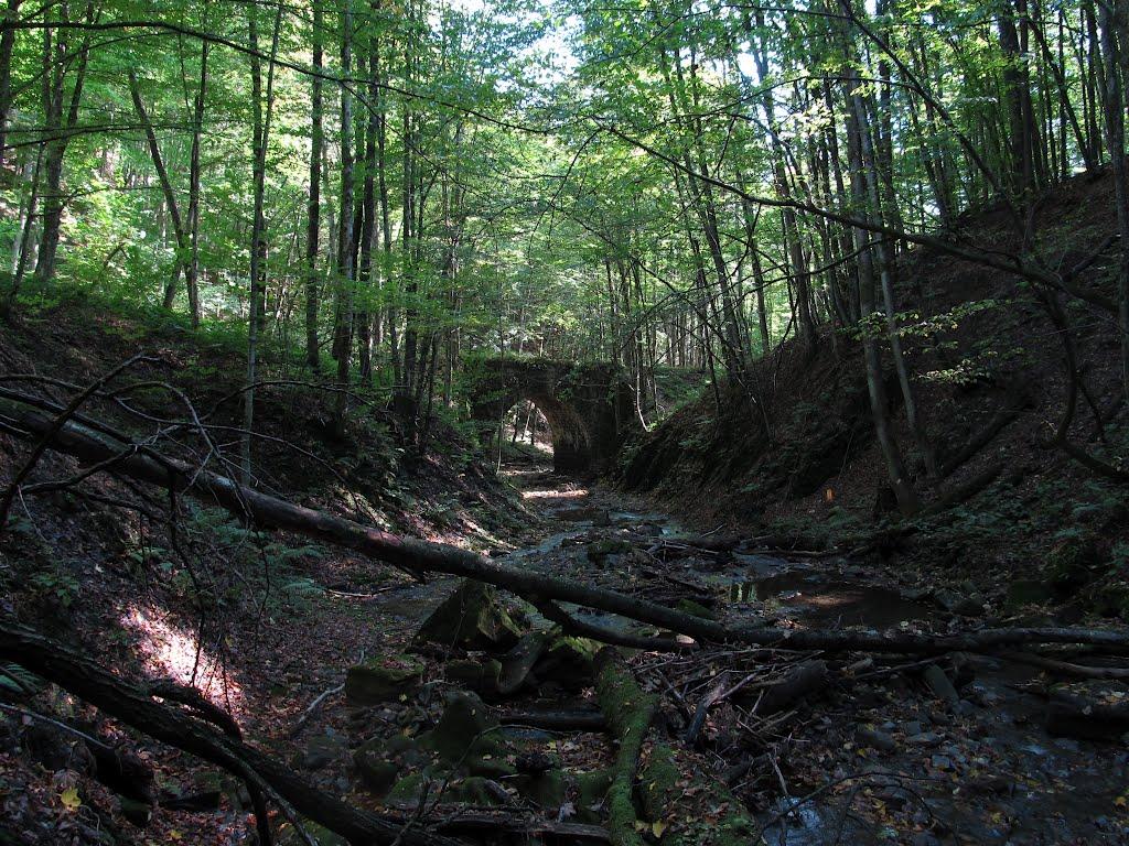 Тур'я Поляна з panoramio.com - Турья Поляна