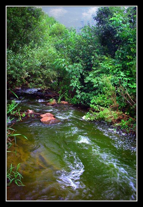 Собичеве з panoramio.com - Собичеве