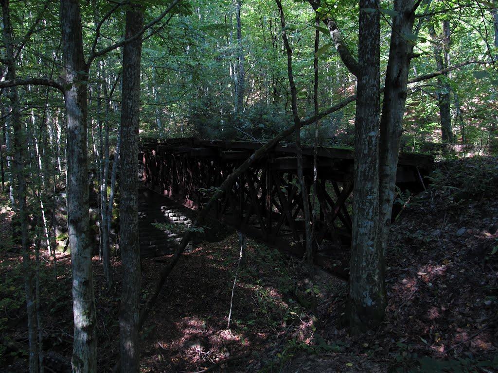 Тур'я Поляна з panoramio.com - Турья Поляна