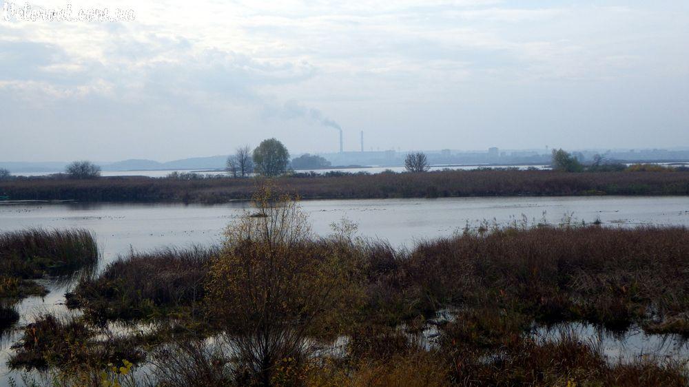 Українка з panoramio.com - Украинка