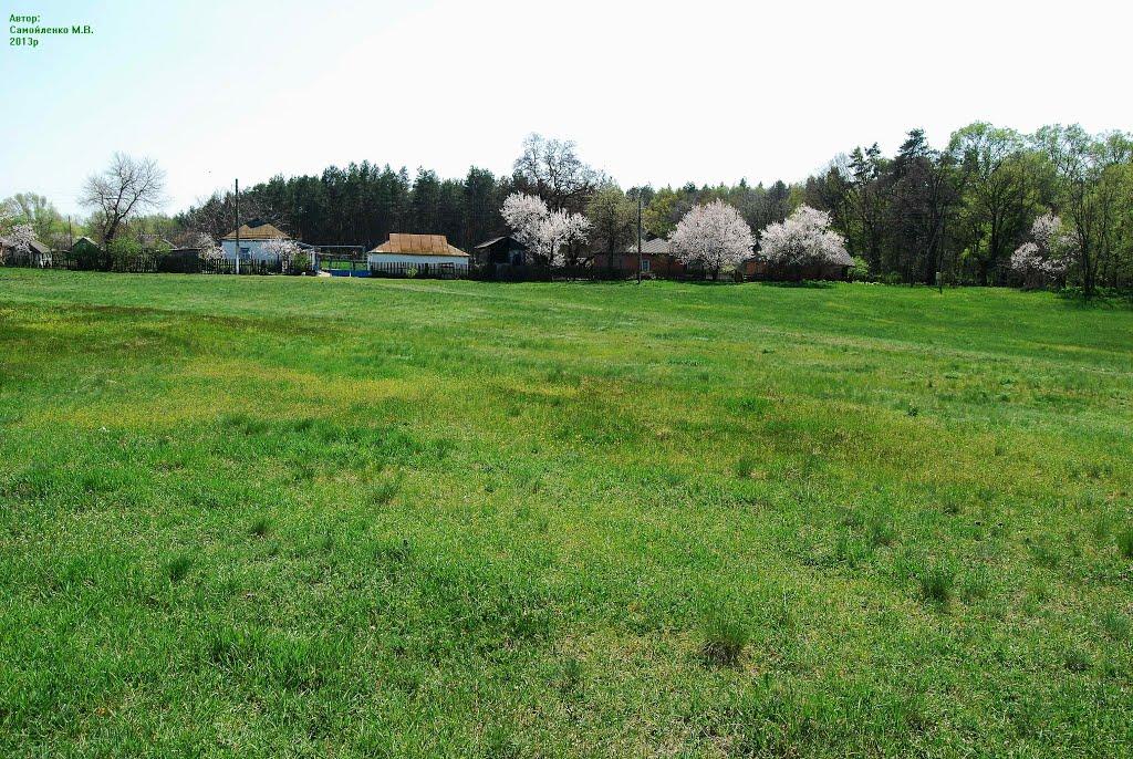 Сухорабівка з panoramio.com - Сухорабівка