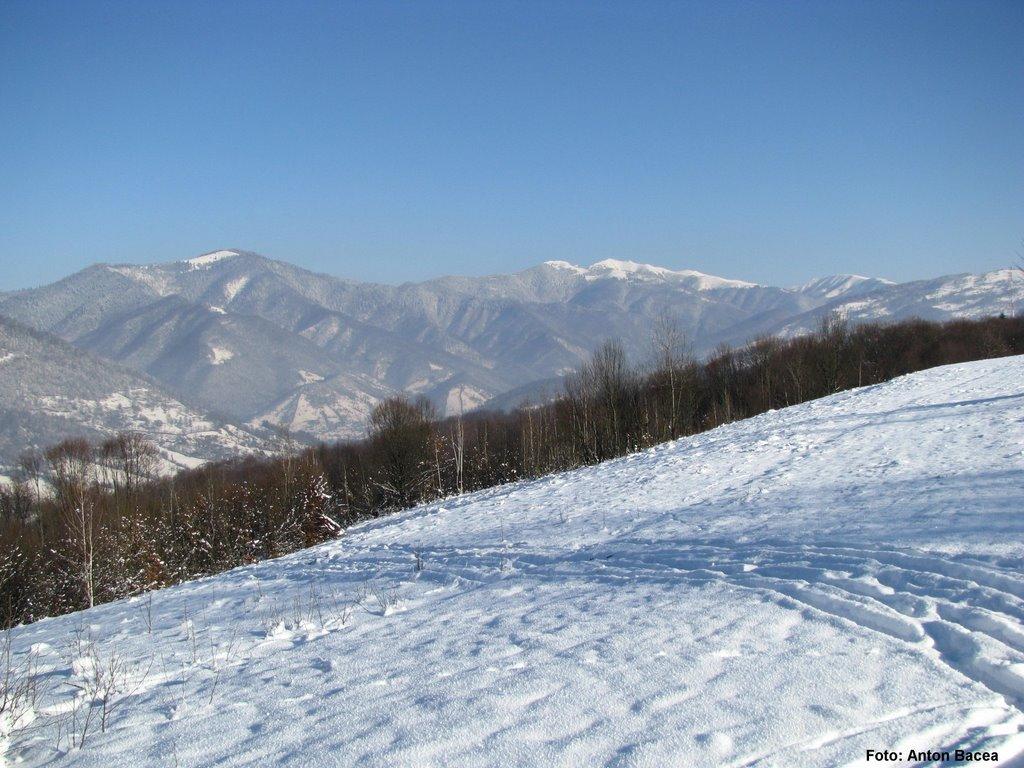 Хмелів з panoramio.com - Хмелів