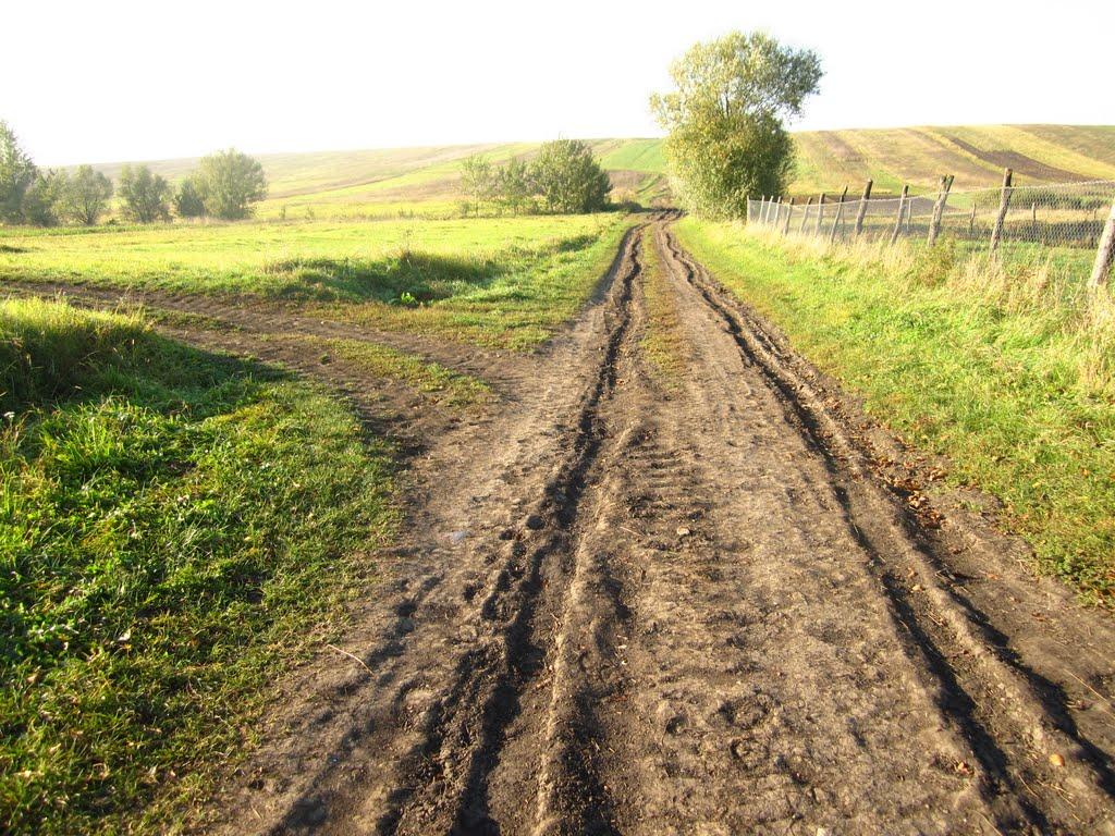 Торговиця з panoramio.com - Торговиця