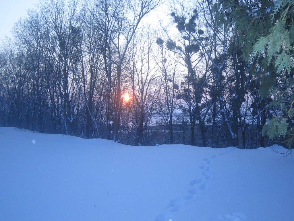 Засупоївка з panoramio.com - Засупоевка