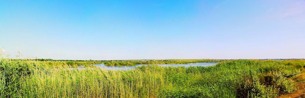 Кучурган з panoramio.com - Kuchurgan