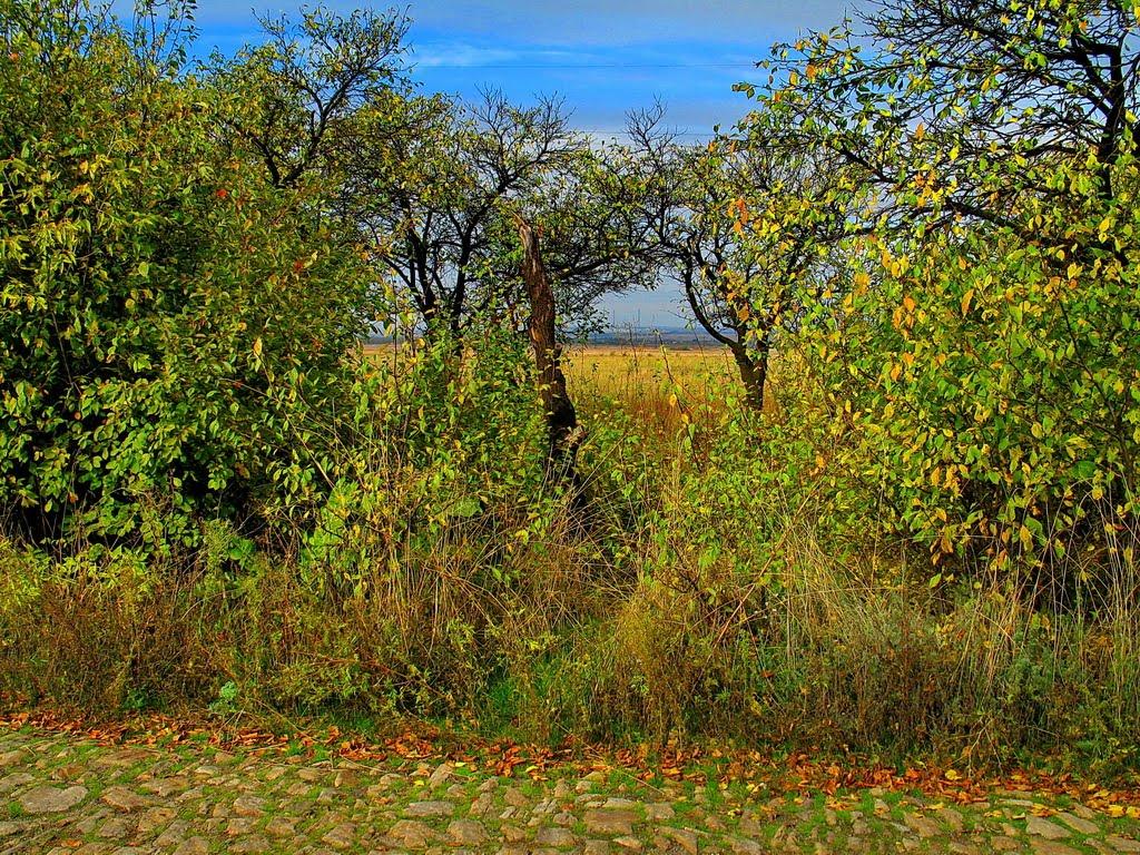 Вуглегірськ з panoramio.com - Вуглегірськ