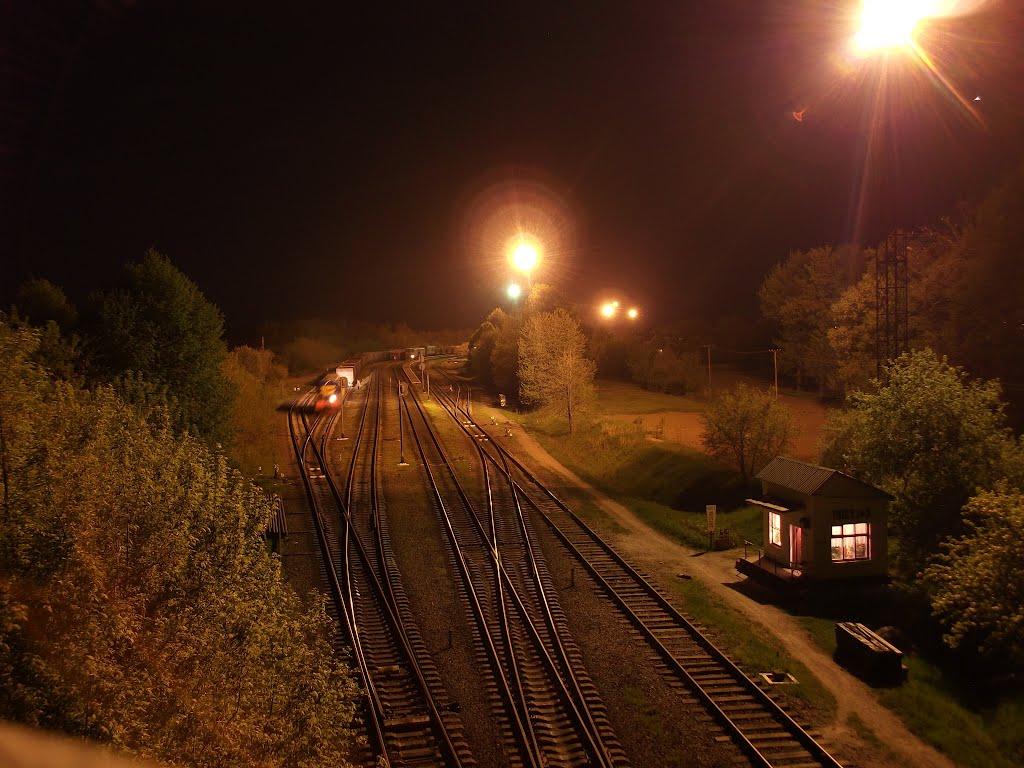 Ладижинське з panoramio.com - Ладижинське