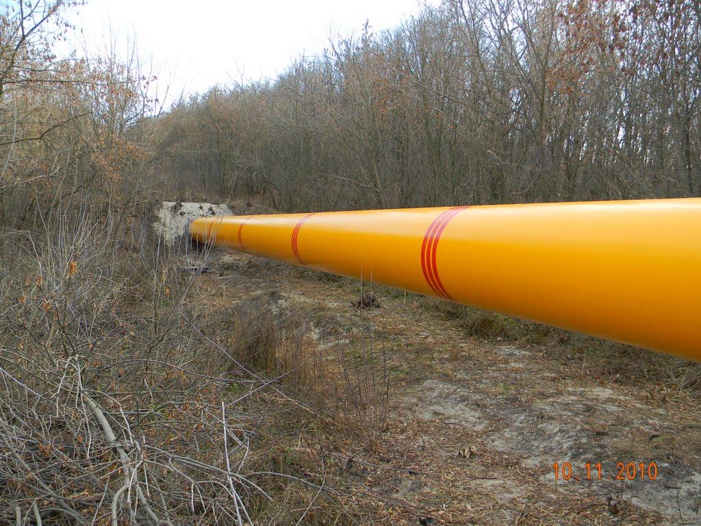 Бірки з panoramio.com - Бирки