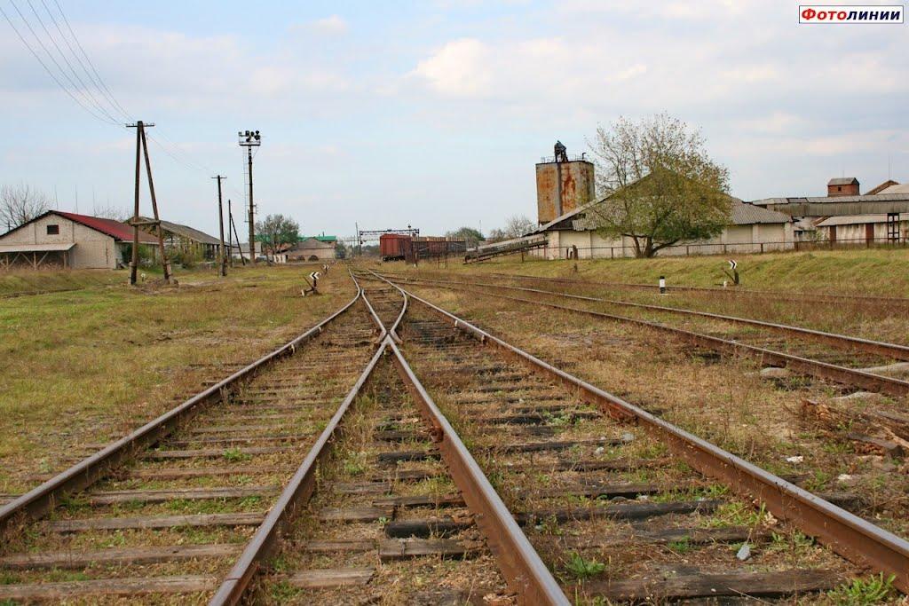 Камінь-Каширський з panoramio.com - Камінь-Каширський