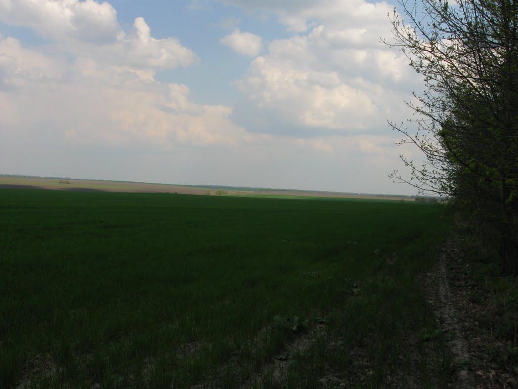 Гранів з panoramio.com - Гранів