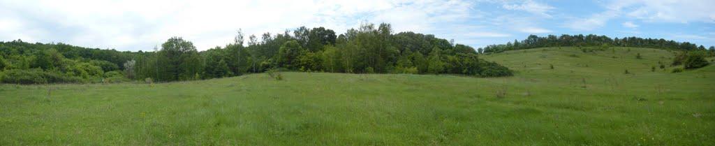 Заміст з panoramio.com - Замост