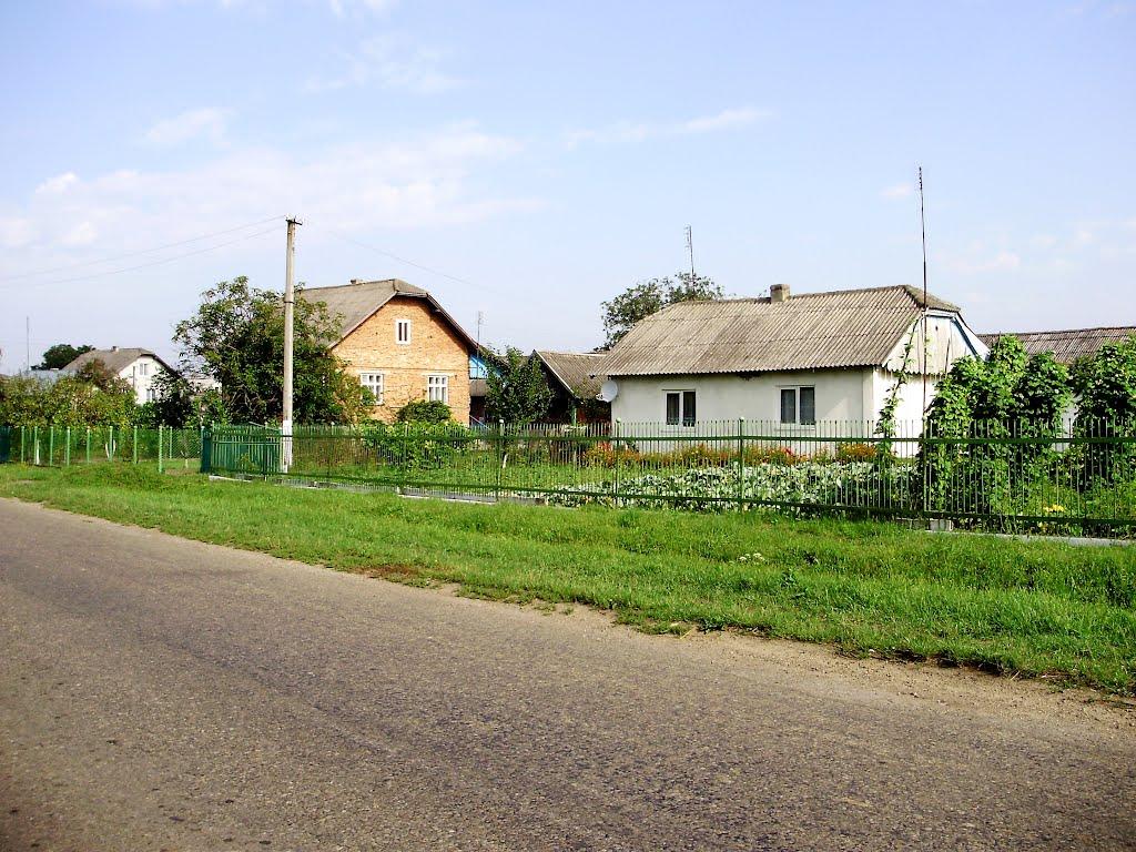 Черниця з panoramio.com - Черниця