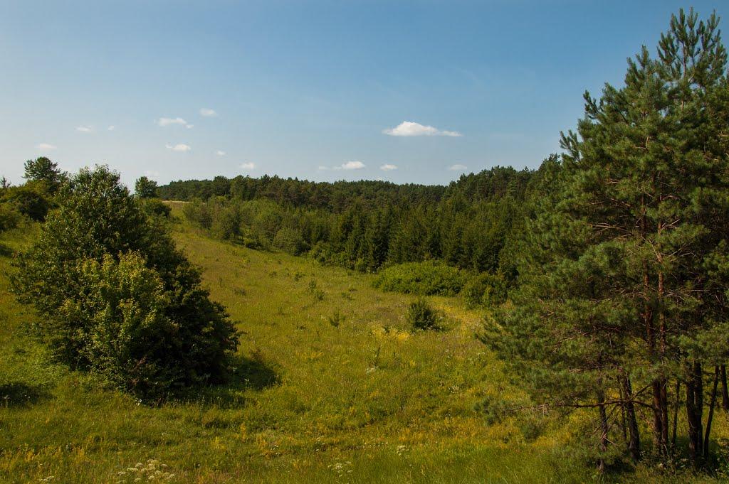 Теслугів з panoramio.com - Теслугів
