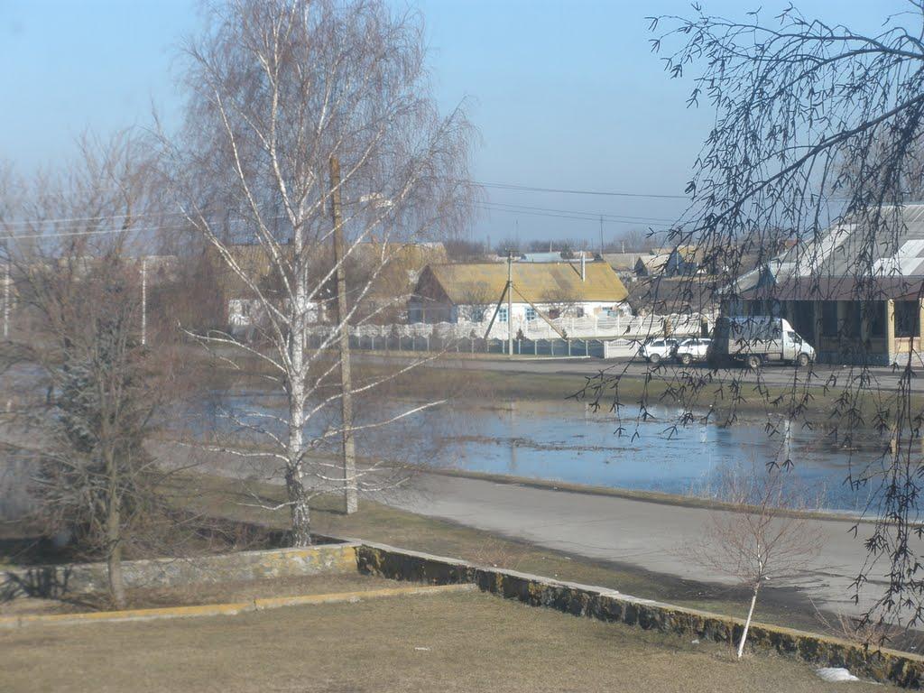 Роздол з panoramio.com - Роздол