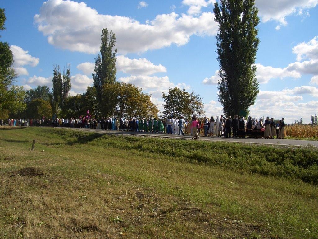 Старомлинівка з panoramio.com - Старомлинівка